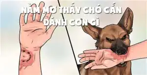 Giải mã nằm mơ chó cắn