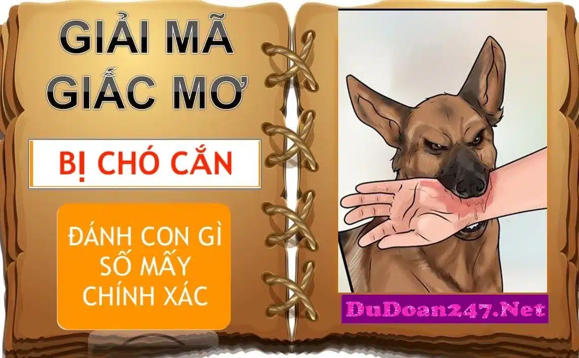 Mơ chó cắn và những con số may mắn